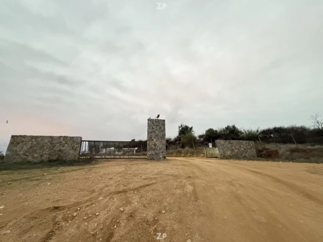 Parcela con un lomaje muy suave con acceso facil