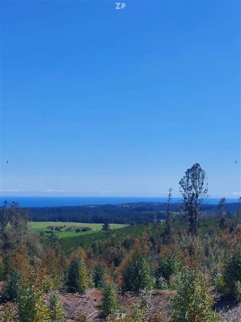 Parcela en venta en Cardonal de Panilonco