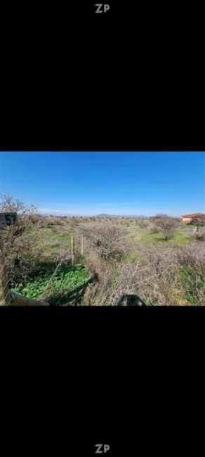 Foto 2 de la propiedad