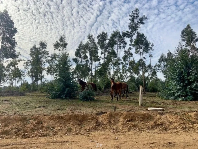 Venta de Parcela primera etapa ya consolidada