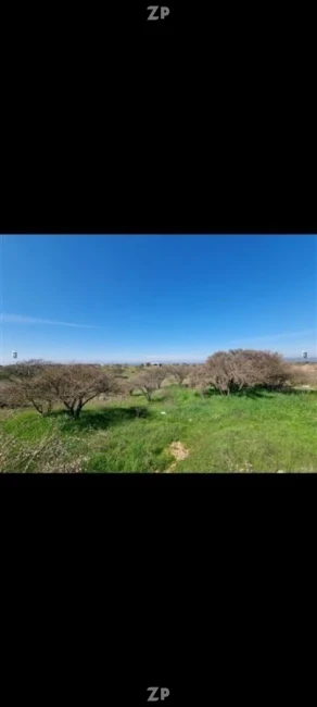 Parcela en Altos de la Estrella