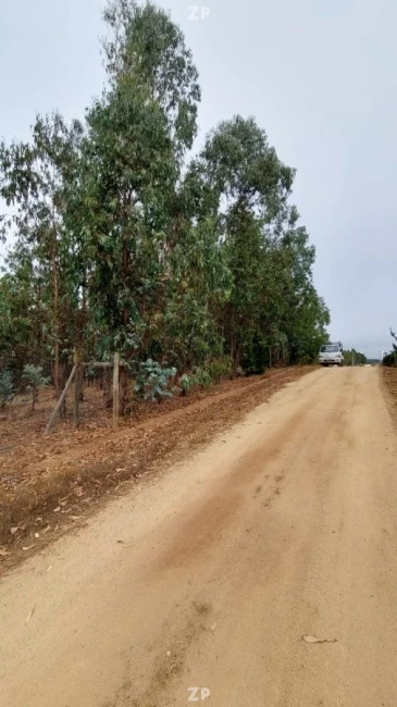Parcela emplazada a 15 minutos del centro