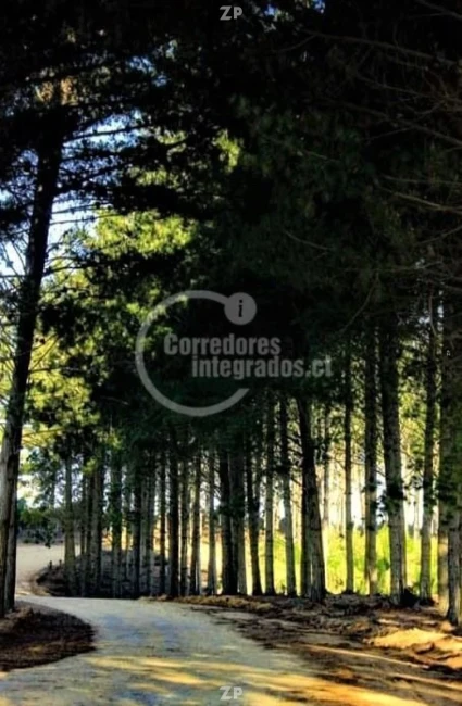 Foto 2 de la propiedad