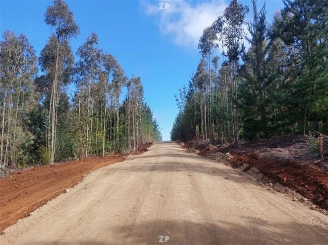 Parcela en venta en Cardonal de Panilonco