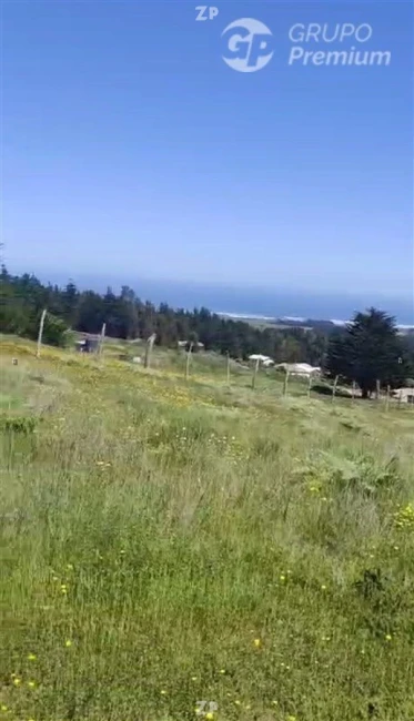 Foto 3 de la propiedad