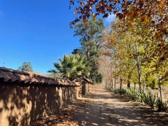 Venta de Parcela a a 1.50 hrs de Santiago