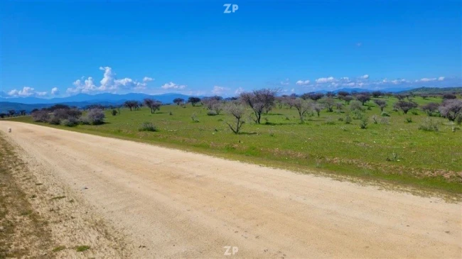 Parcelas planas en tranquilo sector de la estrella