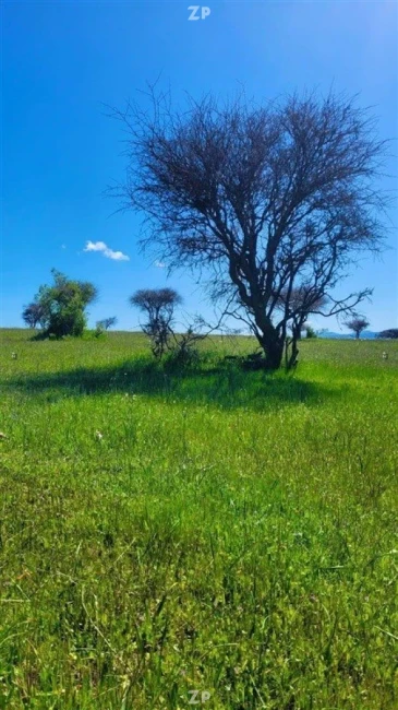 Parcelas planas en tranquilo sector de la estrella