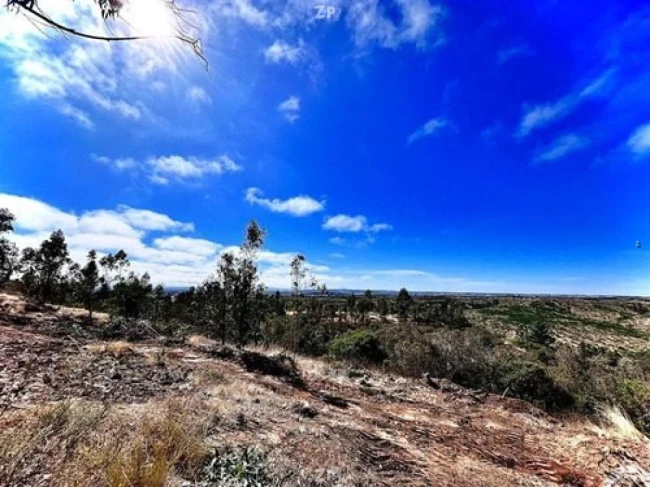  linda parcela de 5.000m2 ubicada en Fundo