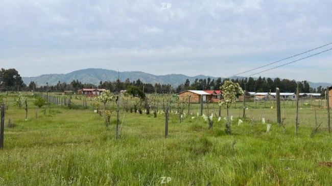 Parcela en venta en Fundó Piuchen N° 68