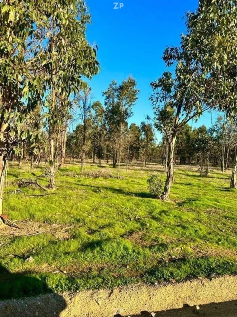 Parcelas Todas con rol propio y entrega inmediata