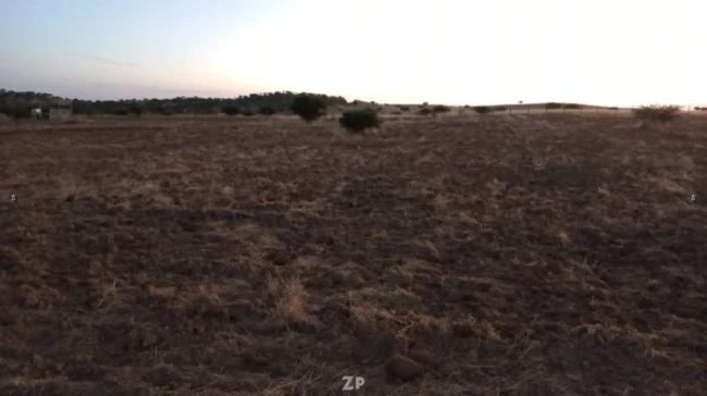 Se vende parcela de 5000 M2, cerca de Pichilemu