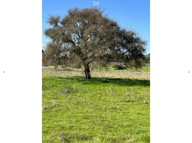 Foto 2 de la propiedad