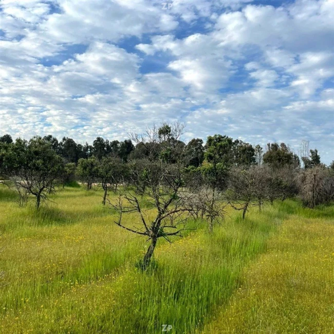 Parcelas cerca de Santiago y a orilla de carretera