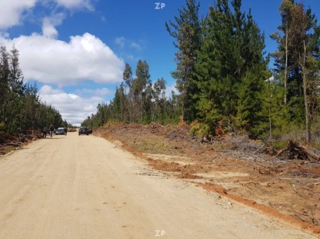 Venta de Sitio Eriazo en Panilonco