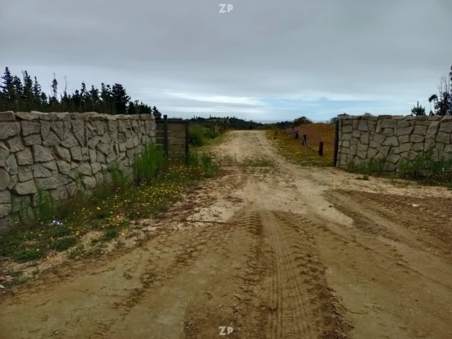 Foto 2 de la propiedad