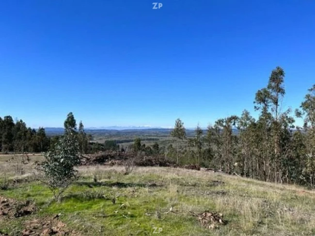  linda parcela de 5.000m2 ubicada en Fundo