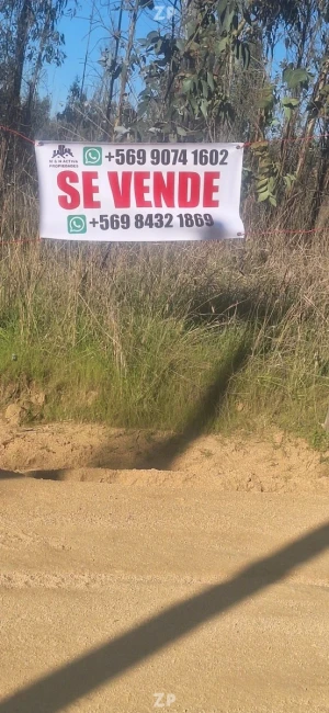 Parcela 5.000 M2 en Paredones I-526 Linda Vistas