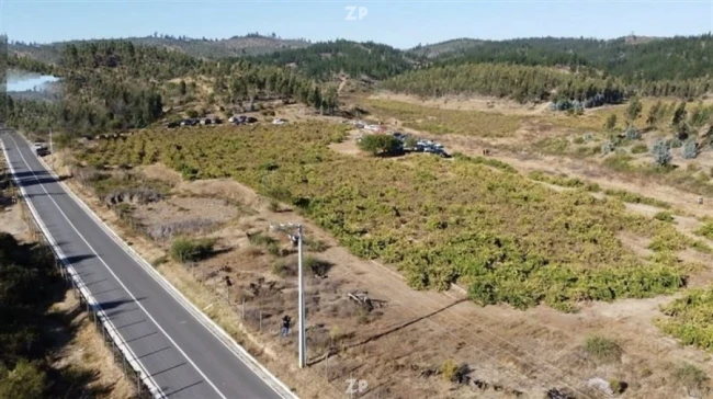 Parcela de nuestro proyecto con un valor único