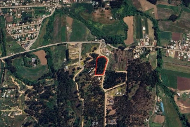 Parcela de 5.572m2 en codiciado sector de Pupuya