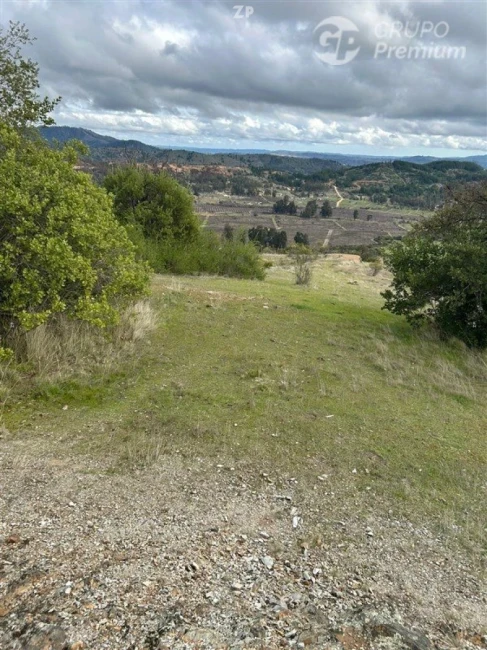 Hermosa parcela de 5500 m2, ubicada Peralillo