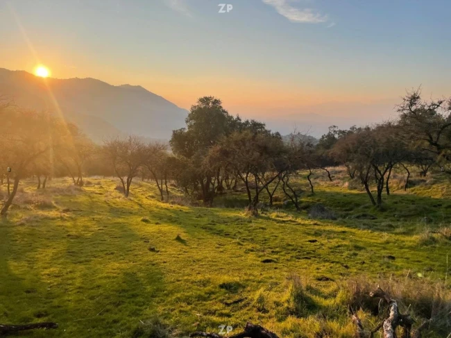 Parcelas de 10.000m2 A 20 minutos de Ruta 5 Sur