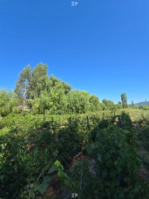 Parcela 10 minutos del centro de Santa Cruz