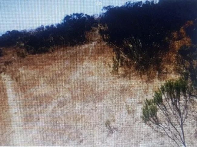 Vende magnífica parcela de 5000 mts cuadrados