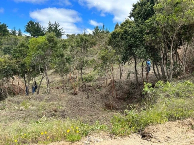 Parcela de 5000mt2 Condominio Fundo de Puertecillo