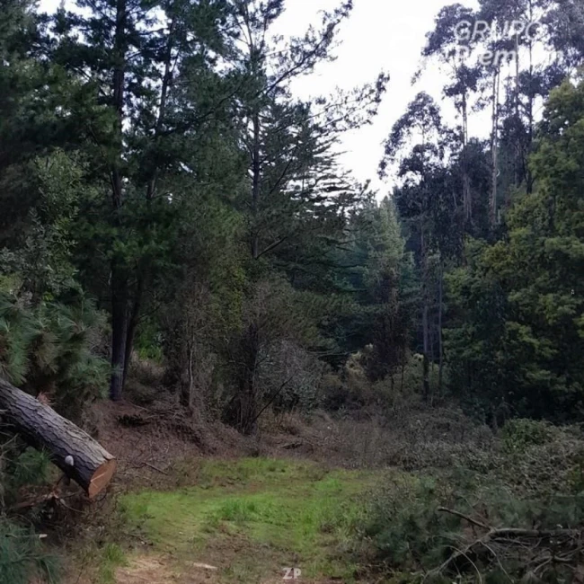 Oportunidad de adquirir parcela en Cabeceras