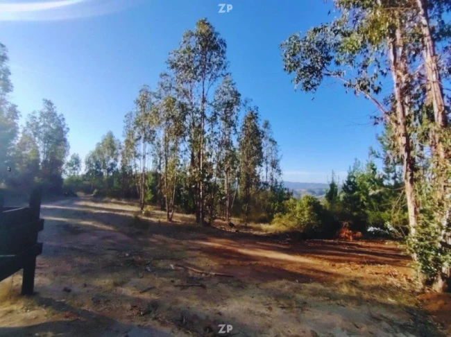 Parcela en venta por 13.000.000 terreno plano