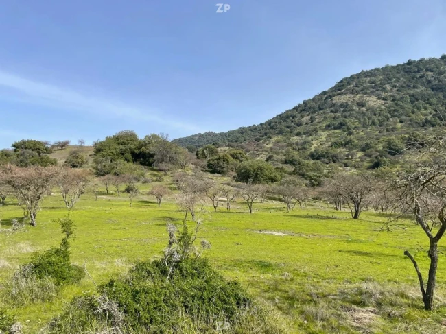 Parcelas de 10.000m2 A 20 minutos de Ruta 5 Sur