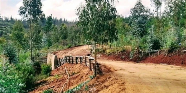 Venta 15 parcelas desde UF 1900 a UF 2000