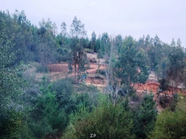 Parcela en venta por 13.000.000 terreno plano