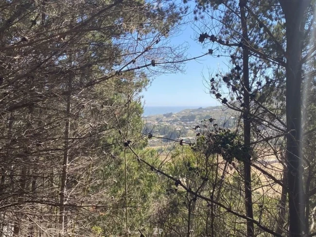 Impresionante parcela en Camino a La Boca