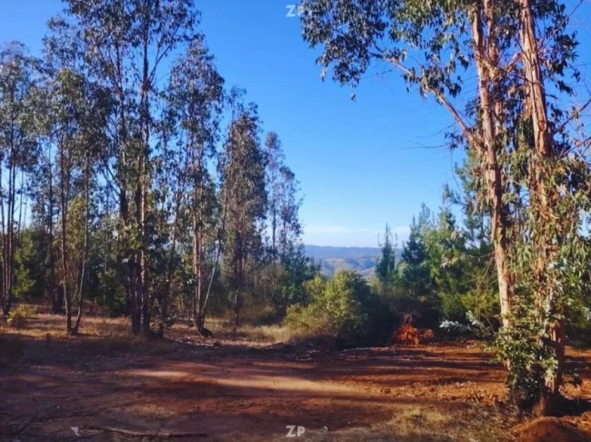 Parcela en venta por 13.000.000 terreno plano