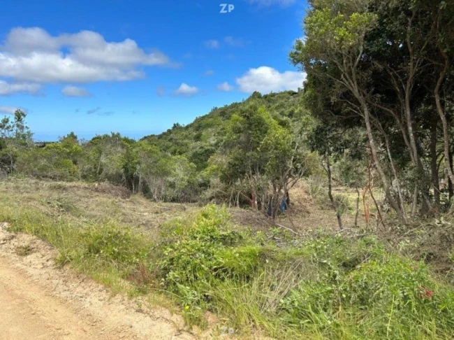 Parcela de 5000mt2 Condominio Fundo de Puertecillo