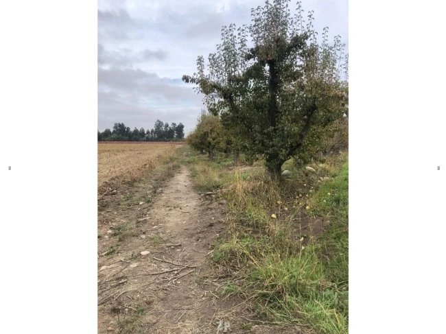 Vendo parcelas en san juan de la sierra