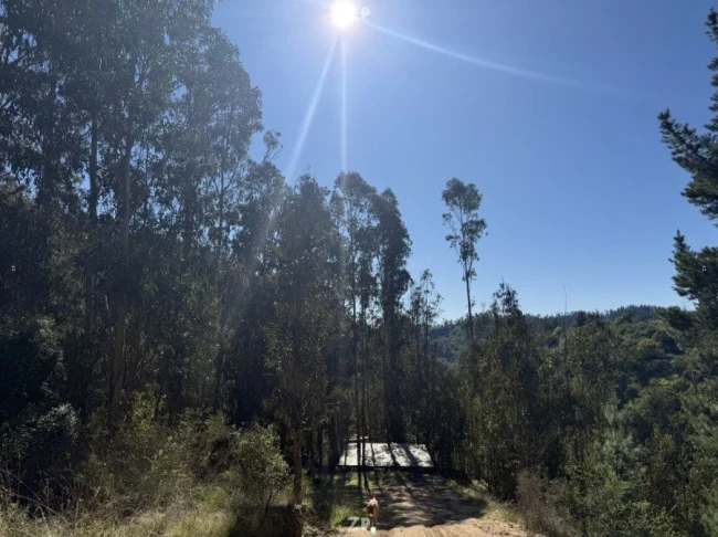 Estas preciosas parcelas de 5.000 m con rol propio