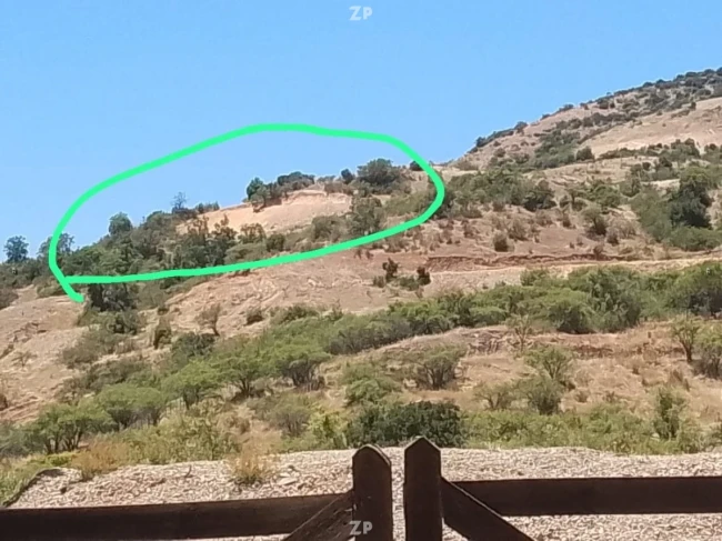 Venta parcela 5.000 mt2, sector Rinconada Molinero