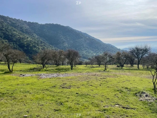 Parcelas de 10.000m2 A 20 minutos de Ruta 5 Sur