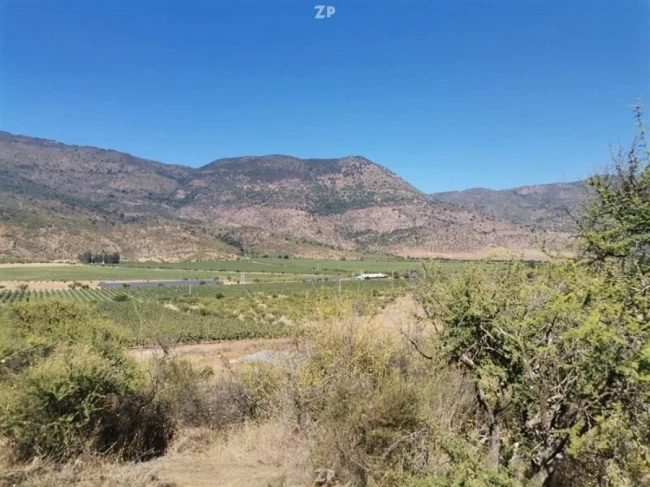 Parcela Proyecto en pleno valle de Colchagua