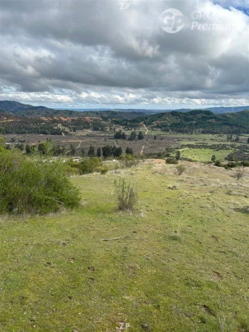 Hermosa parcela de 5500 m2, ubicada Peralillo