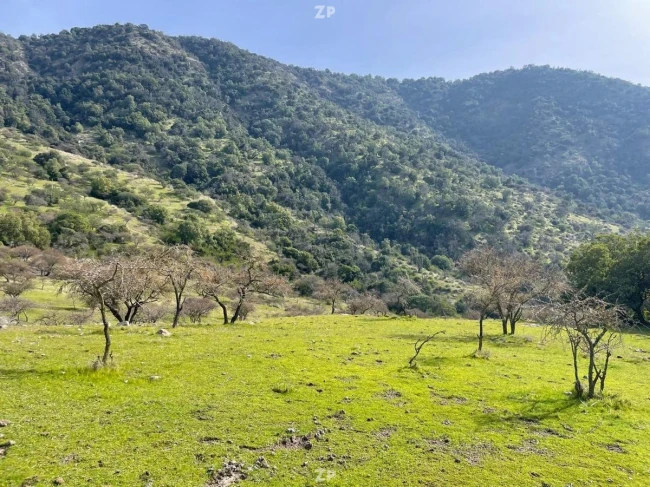 Parcelas de 10.000m2 A 20 minutos de Ruta 5 Sur