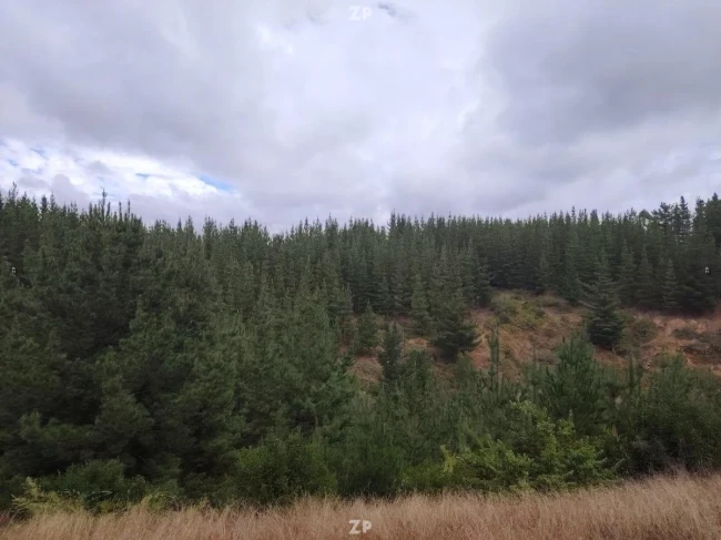 Parcela ubicada en la comuna de Paredones