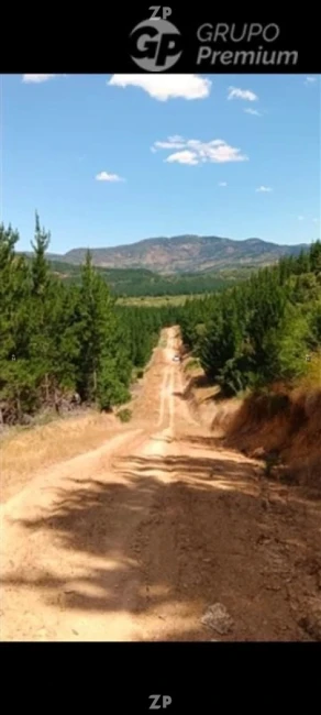 Fantástica parcela de terreno en la ruta 776