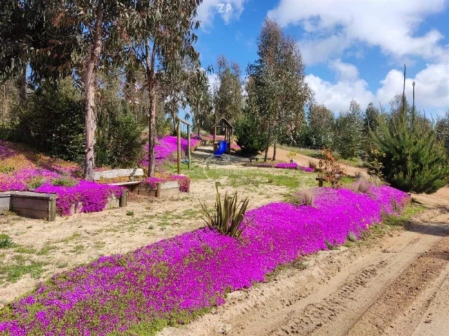 Venta 15 parcelas desde UF 1900 a UF 2000