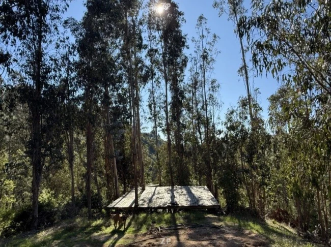 Estas preciosas parcelas de 5.000 m con rol propio