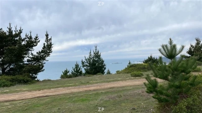 Parcela de 5000 m2 en el sector de Chorrillos