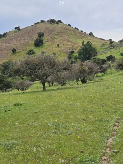 Parcelación Palmas de Santa Cruz de 45,6 hectáreas